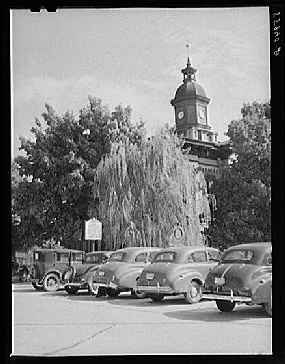 Courthouse Trees 1940